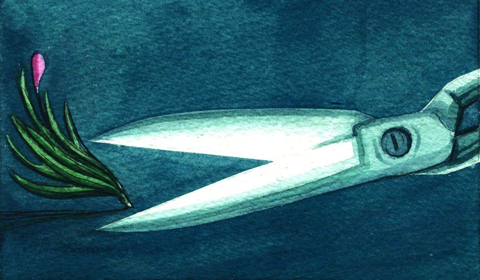 ILLUSTRATION ILLUSTRATION